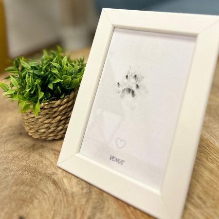 23454bac-a775-41ae-ab06-7bccc3e6fad1