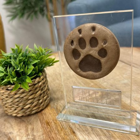 2af0ea66-2609-4101-bbf1-276f37bd4ef5