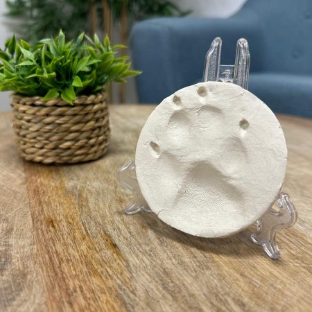 51931277-82ec-4c16-b726-41d916f10568